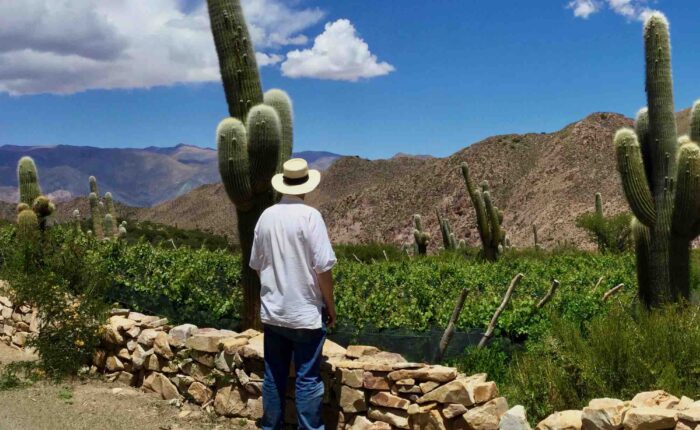 A person enjoying the beauty of South America's highest vineyard, the Moya Vineyard, at 3,329 meters with Wine Tours in Style.