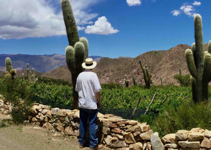 A person enjoying the beauty of South America's highest vineyard, the Moya Vineyard, at 3,329 meters with Wine Tours in Style.