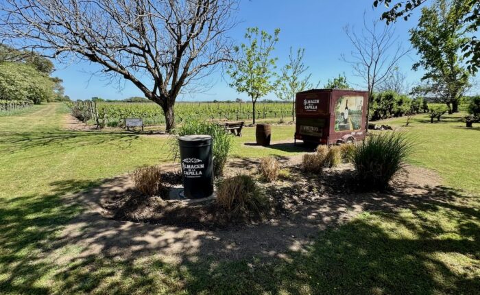 Vineyard in Carmelo, Uruguay, at the beginning of spring, featuring Almacén de la Capilla wine truck and Bodega Cordano, part of Wine Tours in Style’s exclusive experience