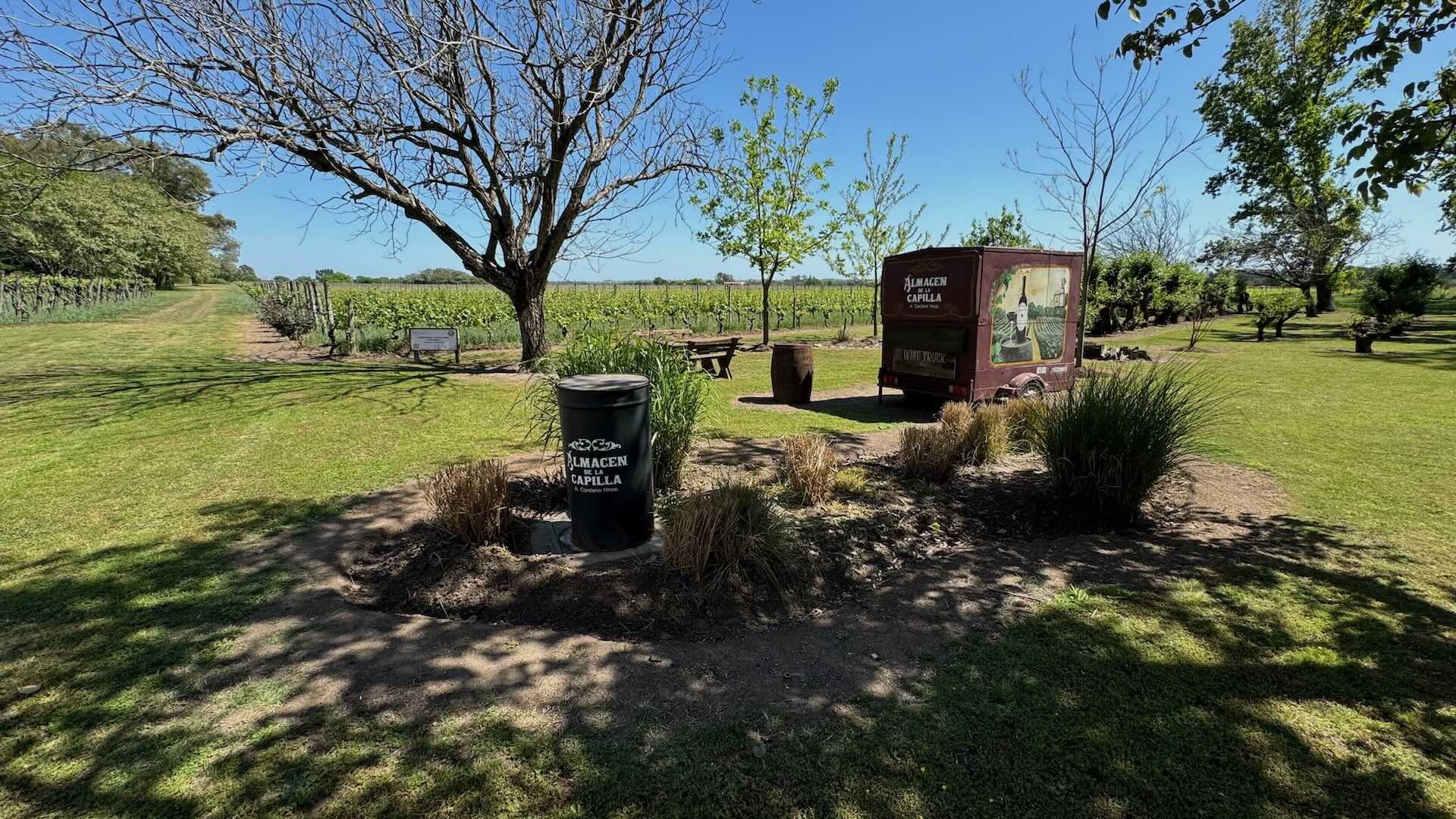 Vineyard in Carmelo, Uruguay, at the beginning of spring, featuring Almacén de la Capilla wine truck and Bodega Cordano, part of Wine Tours in Style’s exclusive experience