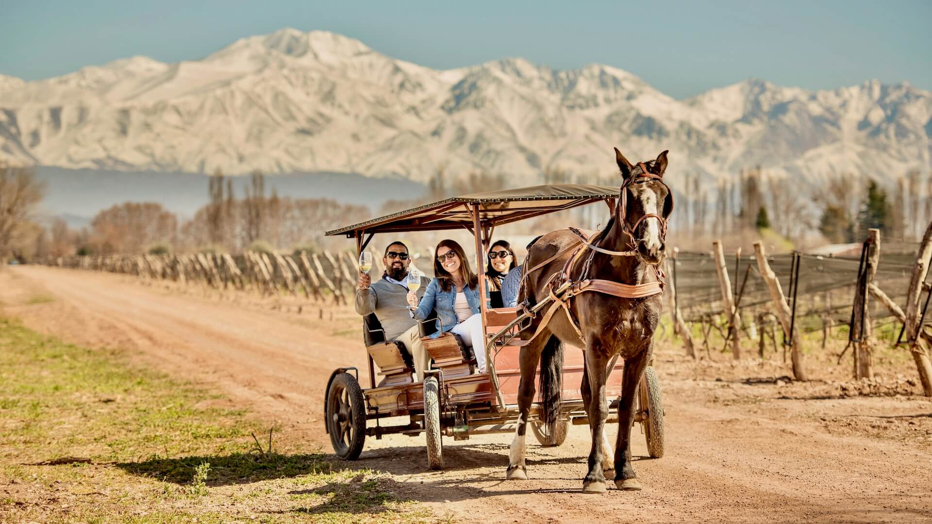 Three clients enjoying a glass of white wine on a partially covered open horse-drawn carriage, providing shade, surrounded by vineyards at rest during early winter, along a dirt road. In the background, the snow-capped Andes add a majestic touch.