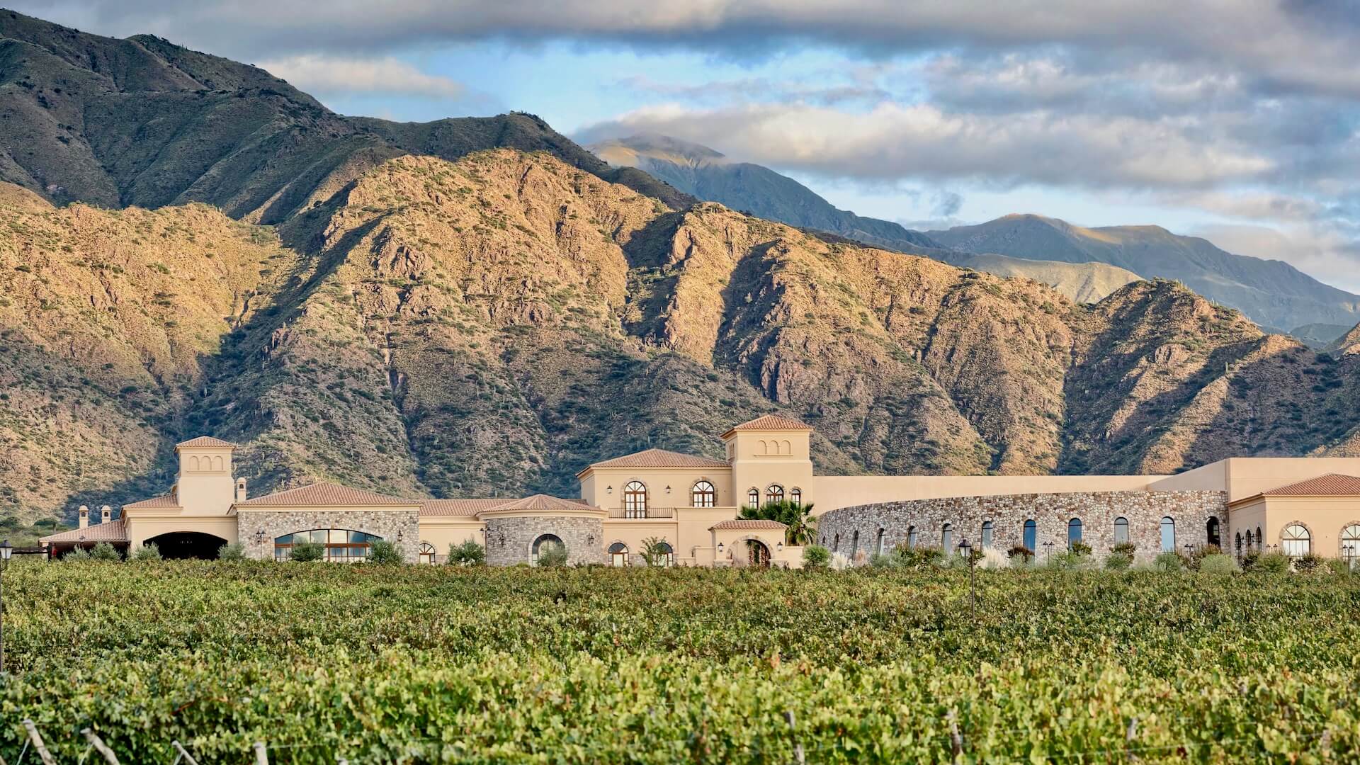 Horse riding through the vineyards of Cafayate, Argentina — Wine Tours in Style