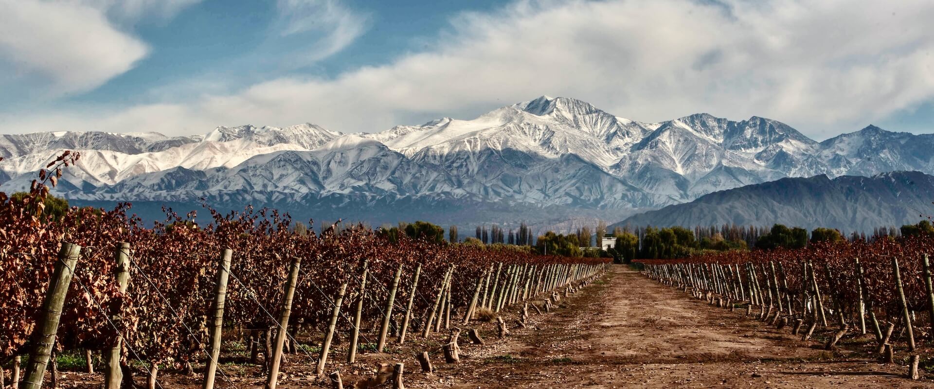 Mendoza Wine Tours In Style