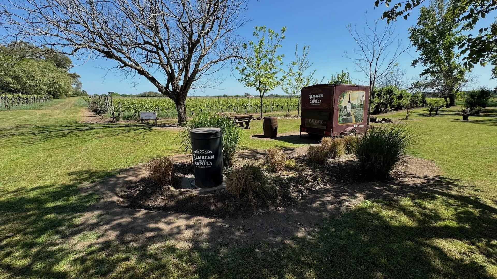 Vineyard in Carmelo, Uruguay, at the beginning of spring, featuring Almacén de la Capilla wine truck and Bodega Cordano, part of Wine Tours in Style’s exclusive experience